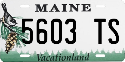 ME license plate 5603TS