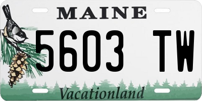 ME license plate 5603TW