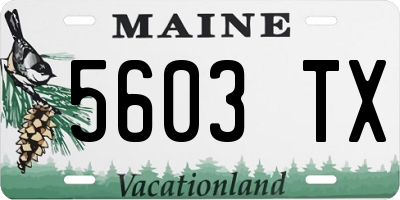 ME license plate 5603TX