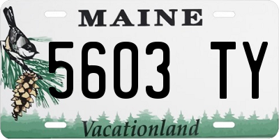 ME license plate 5603TY