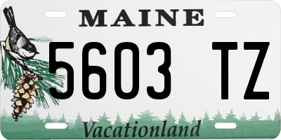 ME license plate 5603TZ