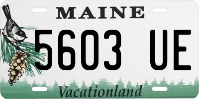 ME license plate 5603UE