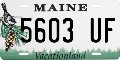 ME license plate 5603UF