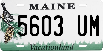 ME license plate 5603UM