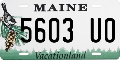 ME license plate 5603UO