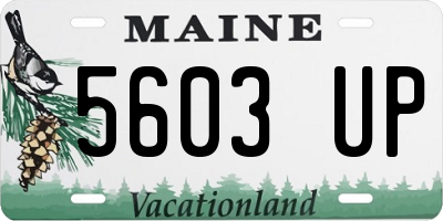 ME license plate 5603UP