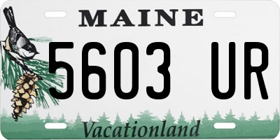 ME license plate 5603UR