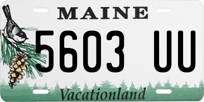 ME license plate 5603UU