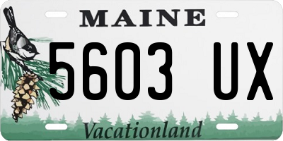 ME license plate 5603UX
