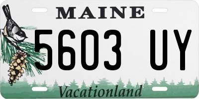 ME license plate 5603UY