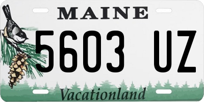 ME license plate 5603UZ