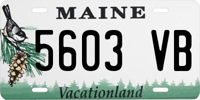 ME license plate 5603VB