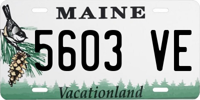 ME license plate 5603VE