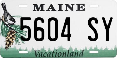 ME license plate 5604SY