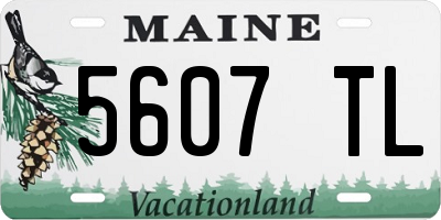 ME license plate 5607TL