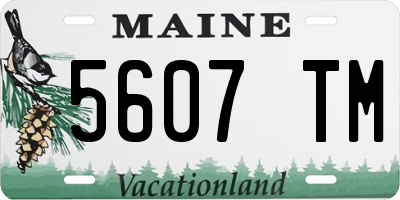 ME license plate 5607TM
