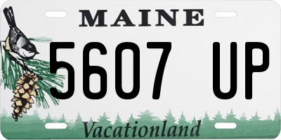 ME license plate 5607UP