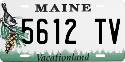 ME license plate 5612TV
