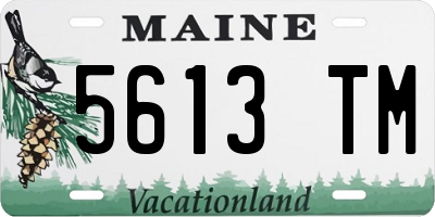 ME license plate 5613TM