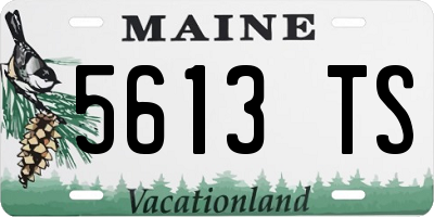 ME license plate 5613TS