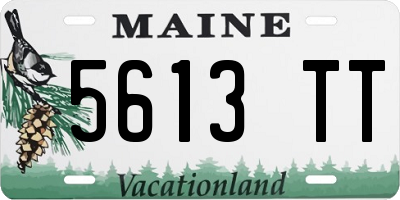 ME license plate 5613TT