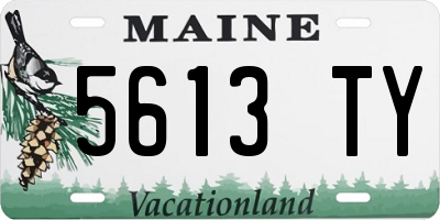 ME license plate 5613TY