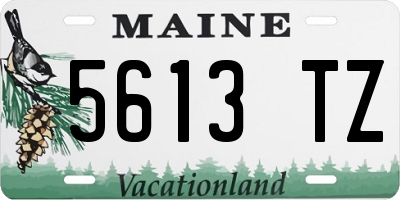 ME license plate 5613TZ