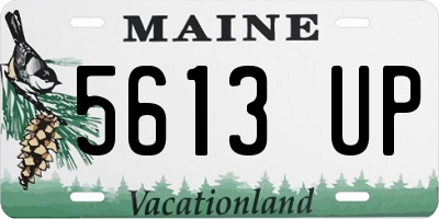 ME license plate 5613UP