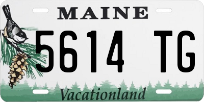 ME license plate 5614TG