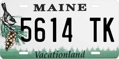 ME license plate 5614TK