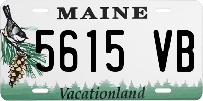 ME license plate 5615VB