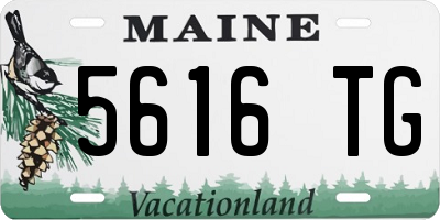 ME license plate 5616TG