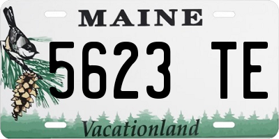 ME license plate 5623TE