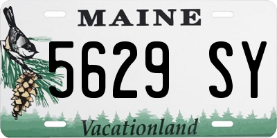 ME license plate 5629SY