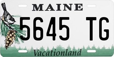 ME license plate 5645TG