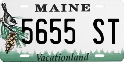 ME license plate 5655ST