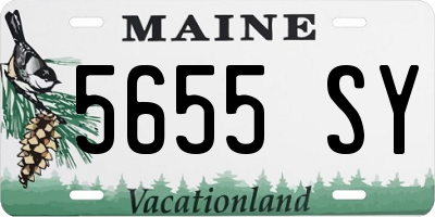 ME license plate 5655SY