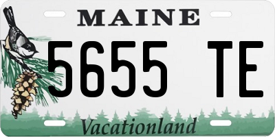 ME license plate 5655TE