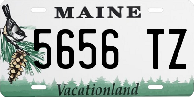 ME license plate 5656TZ