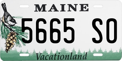 ME license plate 5665SO