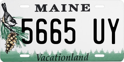 ME license plate 5665UY