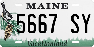 ME license plate 5667SY