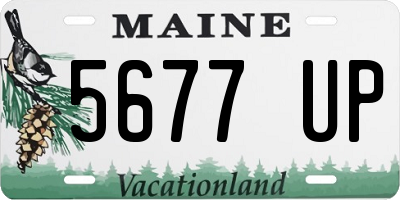 ME license plate 5677UP