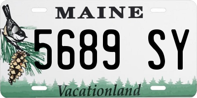 ME license plate 5689SY