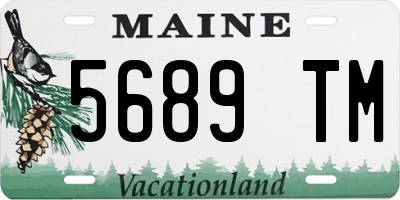 ME license plate 5689TM