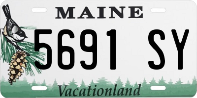 ME license plate 5691SY