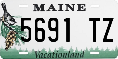 ME license plate 5691TZ