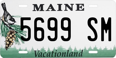 ME license plate 5699SM