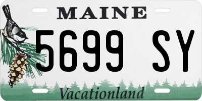 ME license plate 5699SY