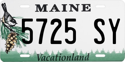 ME license plate 5725SY